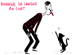 exp_francaise